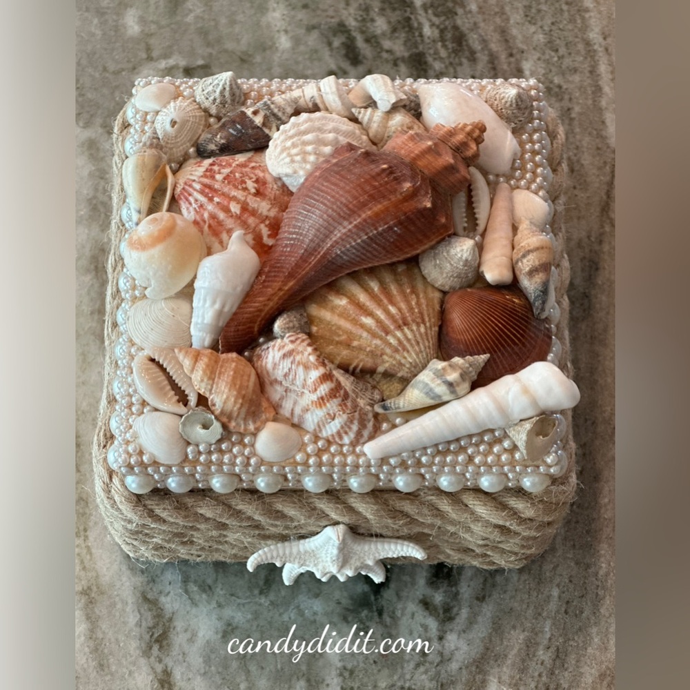 NWT Beautiful Handmade Candy Did It! Sea Shell Trinket Box